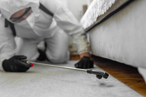 Professional Cockroach Control technician working in Arrowhead Beach, NC