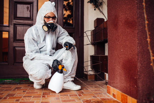 Reliable Cockroach Control contractor in Arrowhead Beach, NC by Nex Pest Control